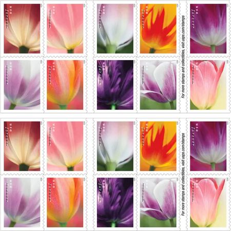 Tulip Blossoms 2023 - 5 Booklets 100 Pcs Unused Stamps for Mailing